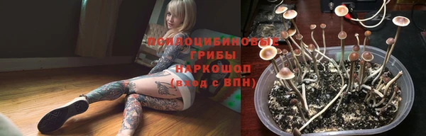 героин Богданович