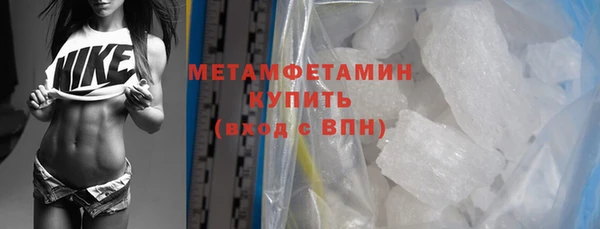 шишки Белокуриха