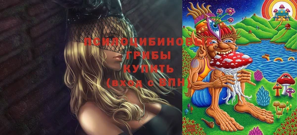 спайс Беломорск