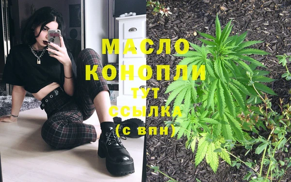 шишки Белокуриха