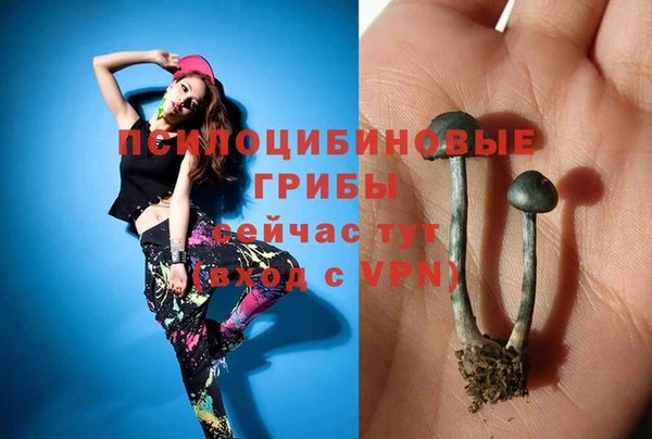 спайс Беломорск