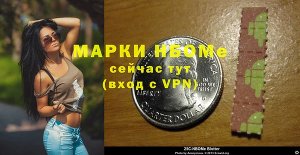 шишки Белокуриха