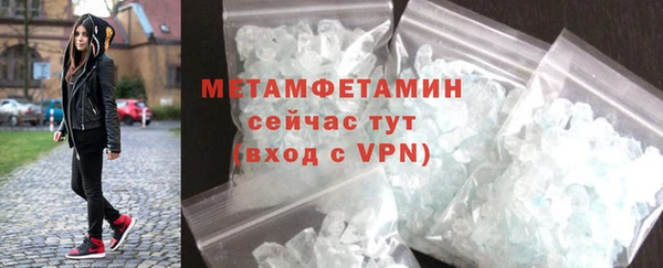шишки Белокуриха