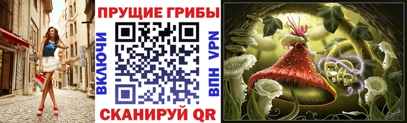 Псилоцибиновые грибы MAGIC MUSHROOMS  как найти закладки  Вязники 